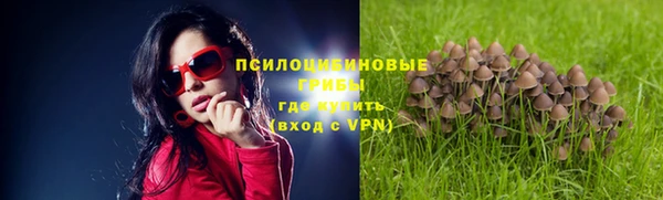 кристаллы Абаза