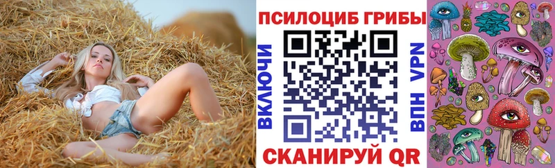 Псилоцибиновые грибы Cubensis  kraken маркетплейс  Карасук 